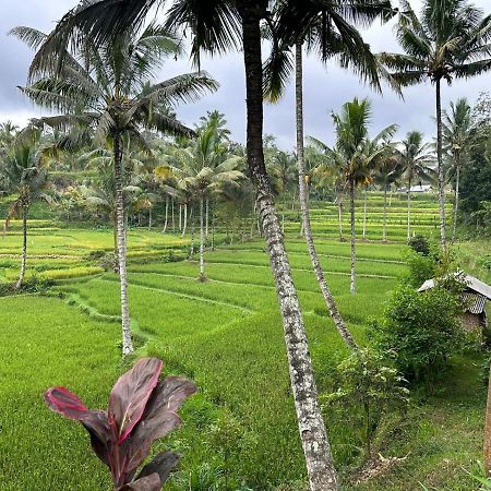 Mysha Guest House-Lombok เตเตบาตู ภายนอก รูปภาพ