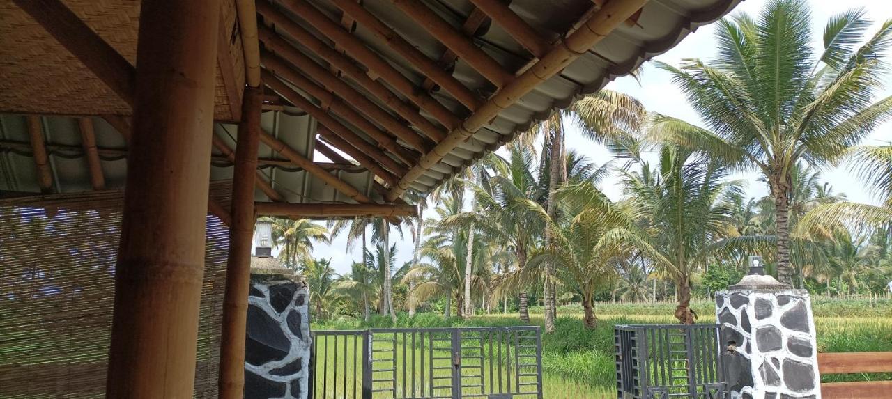 Mysha Guest House-Lombok เตเตบาตู ภายนอก รูปภาพ