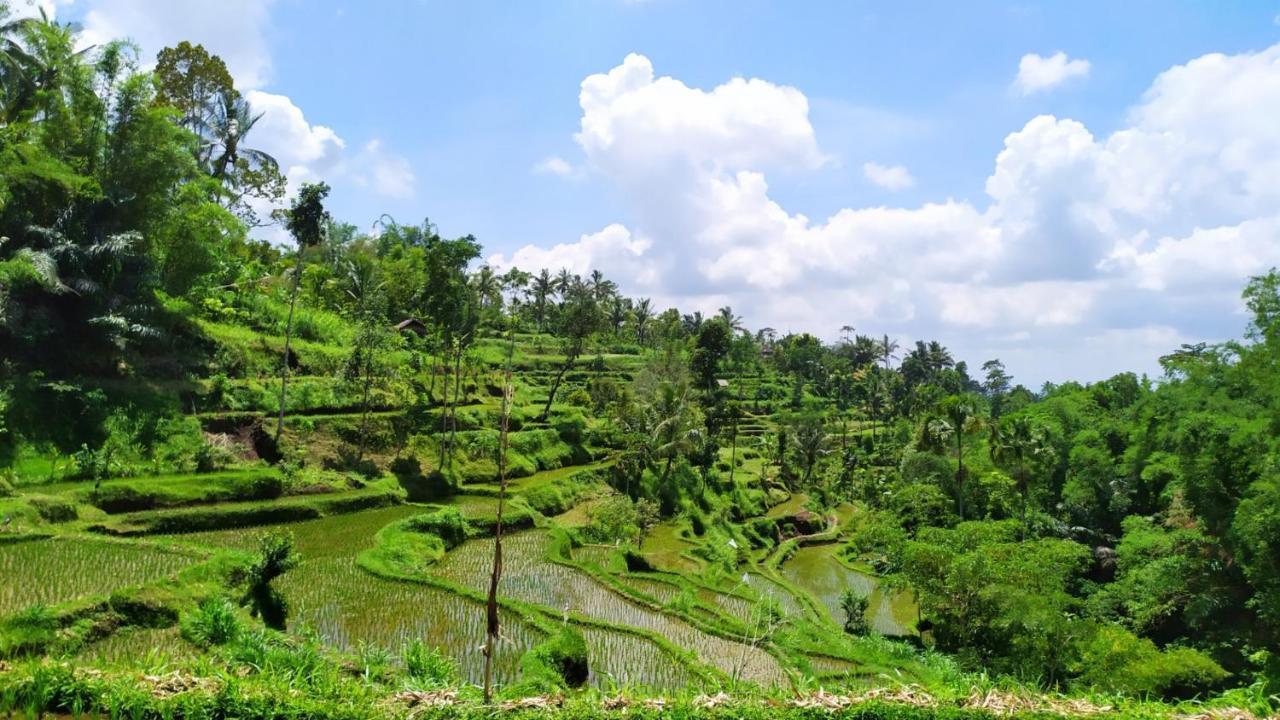 Mysha Guest House-Lombok เตเตบาตู ภายนอก รูปภาพ