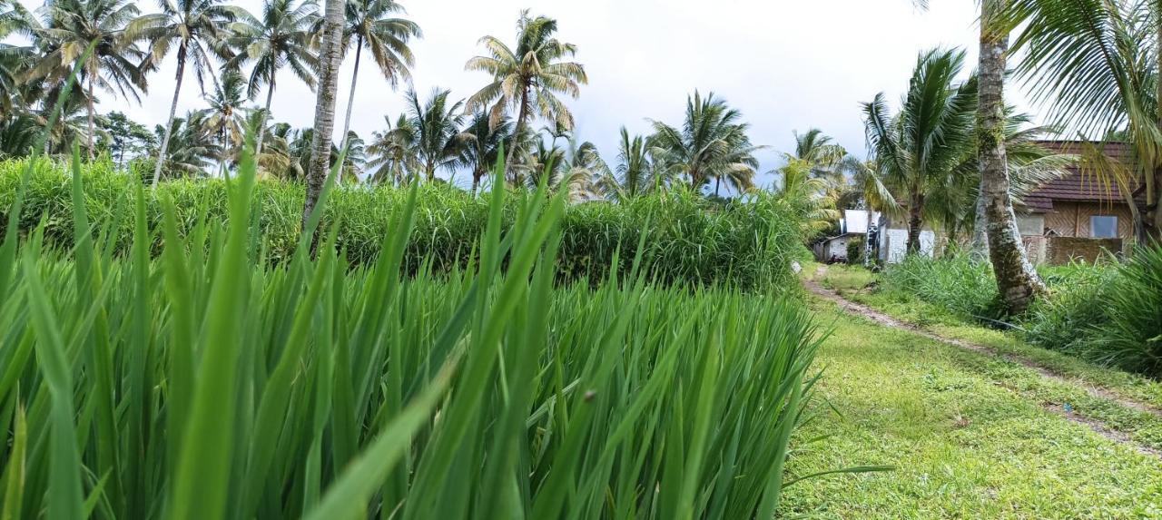Mysha Guest House-Lombok เตเตบาตู ภายนอก รูปภาพ