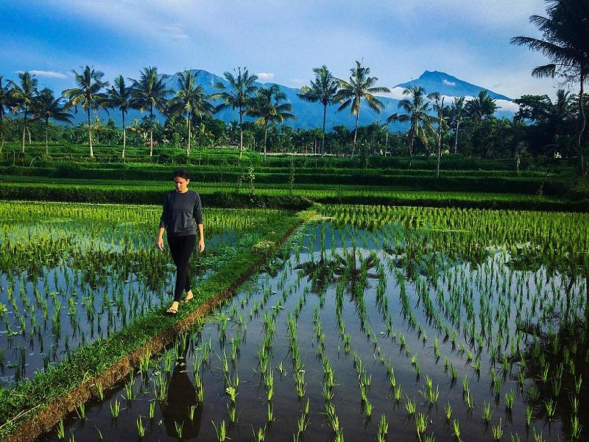 Mysha Guest House-Lombok เตเตบาตู ภายนอก รูปภาพ