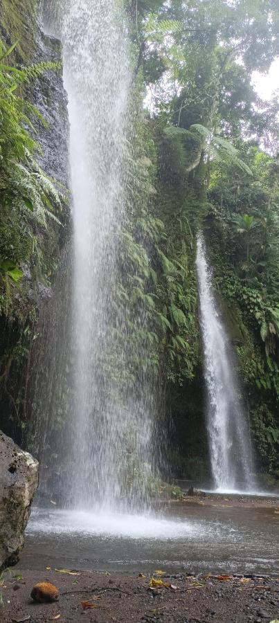 Mysha Guest House-Lombok เตเตบาตู ภายนอก รูปภาพ