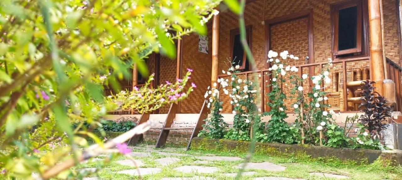 Mysha Guest House-Lombok เตเตบาตู ภายนอก รูปภาพ