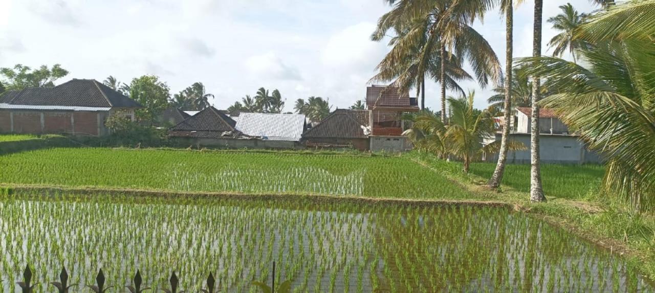 Mysha Guest House-Lombok เตเตบาตู ภายนอก รูปภาพ