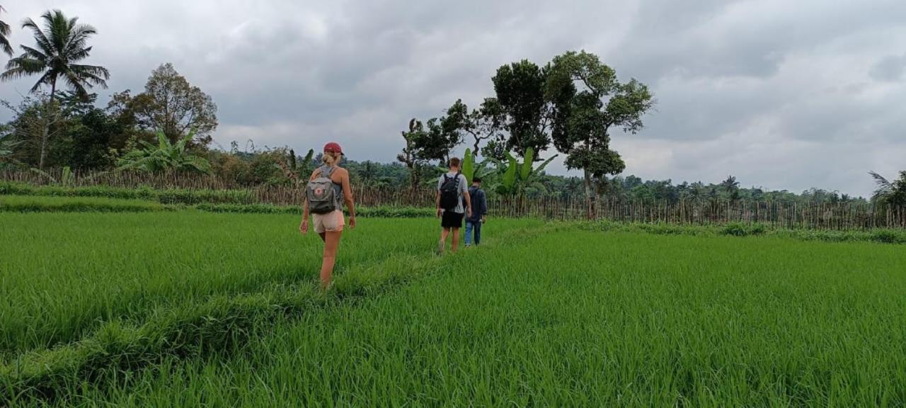 Mysha Guest House-Lombok เตเตบาตู ภายนอก รูปภาพ