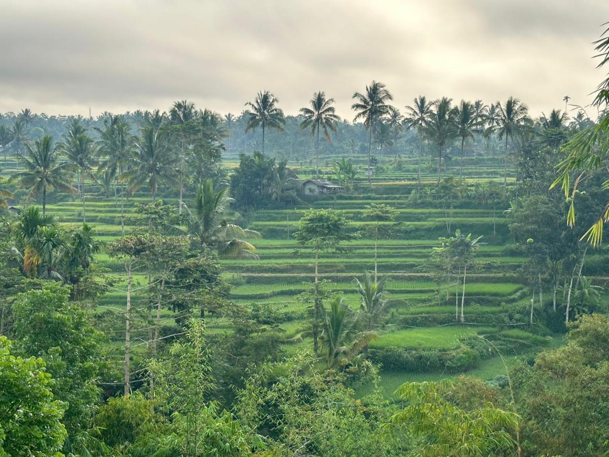 Mysha Guest House-Lombok เตเตบาตู ภายนอก รูปภาพ