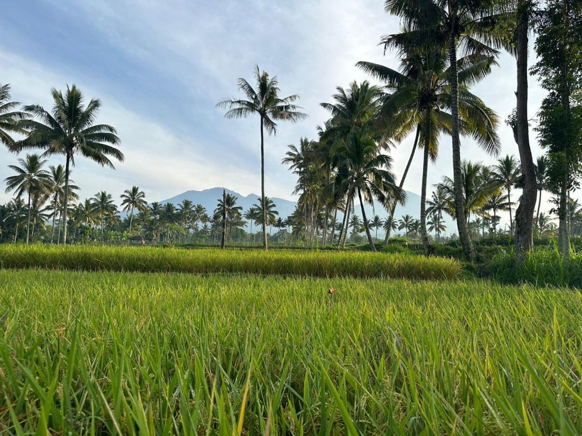 Mysha Guest House-Lombok เตเตบาตู ภายนอก รูปภาพ