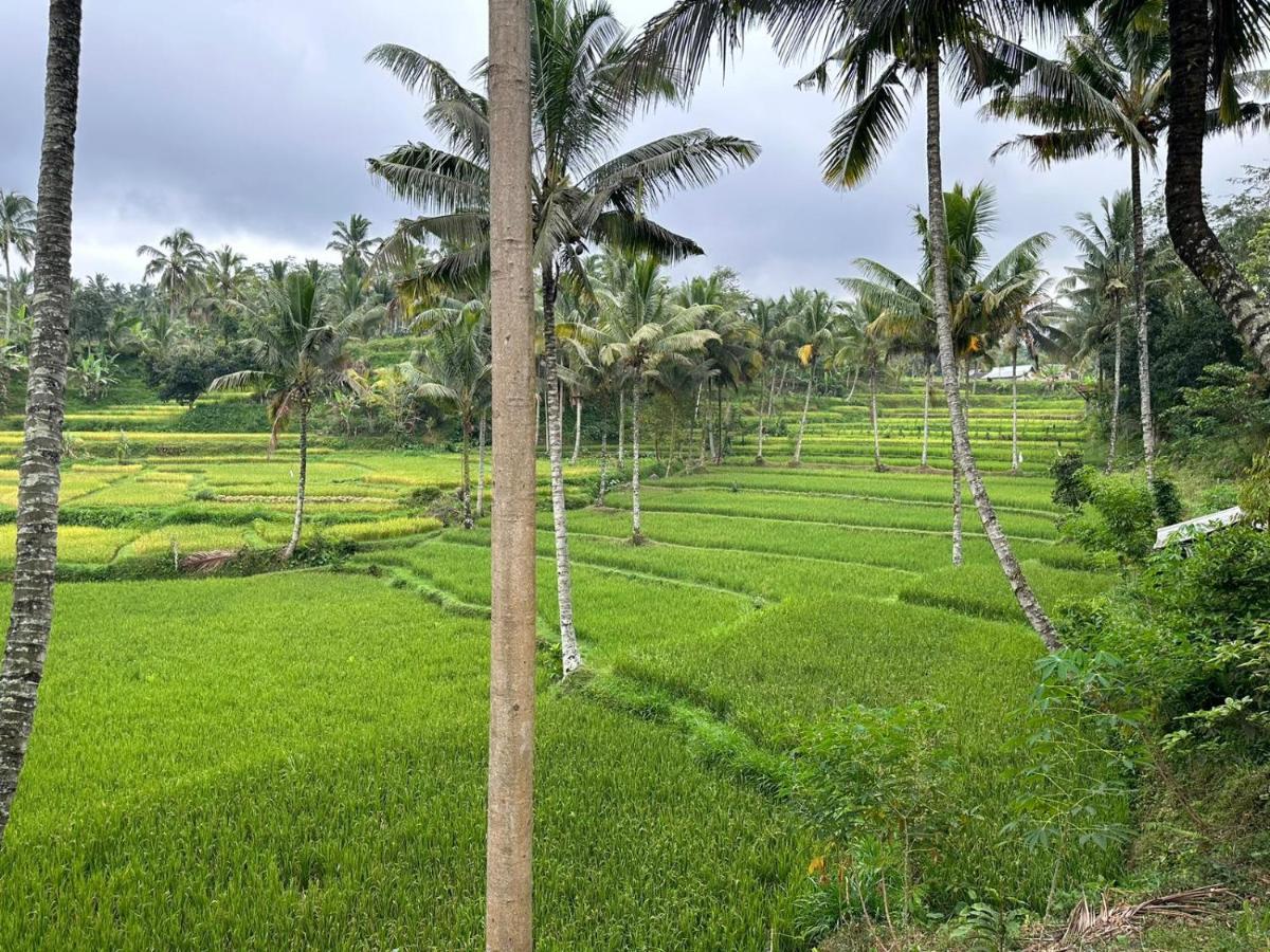 Mysha Guest House-Lombok เตเตบาตู ภายนอก รูปภาพ